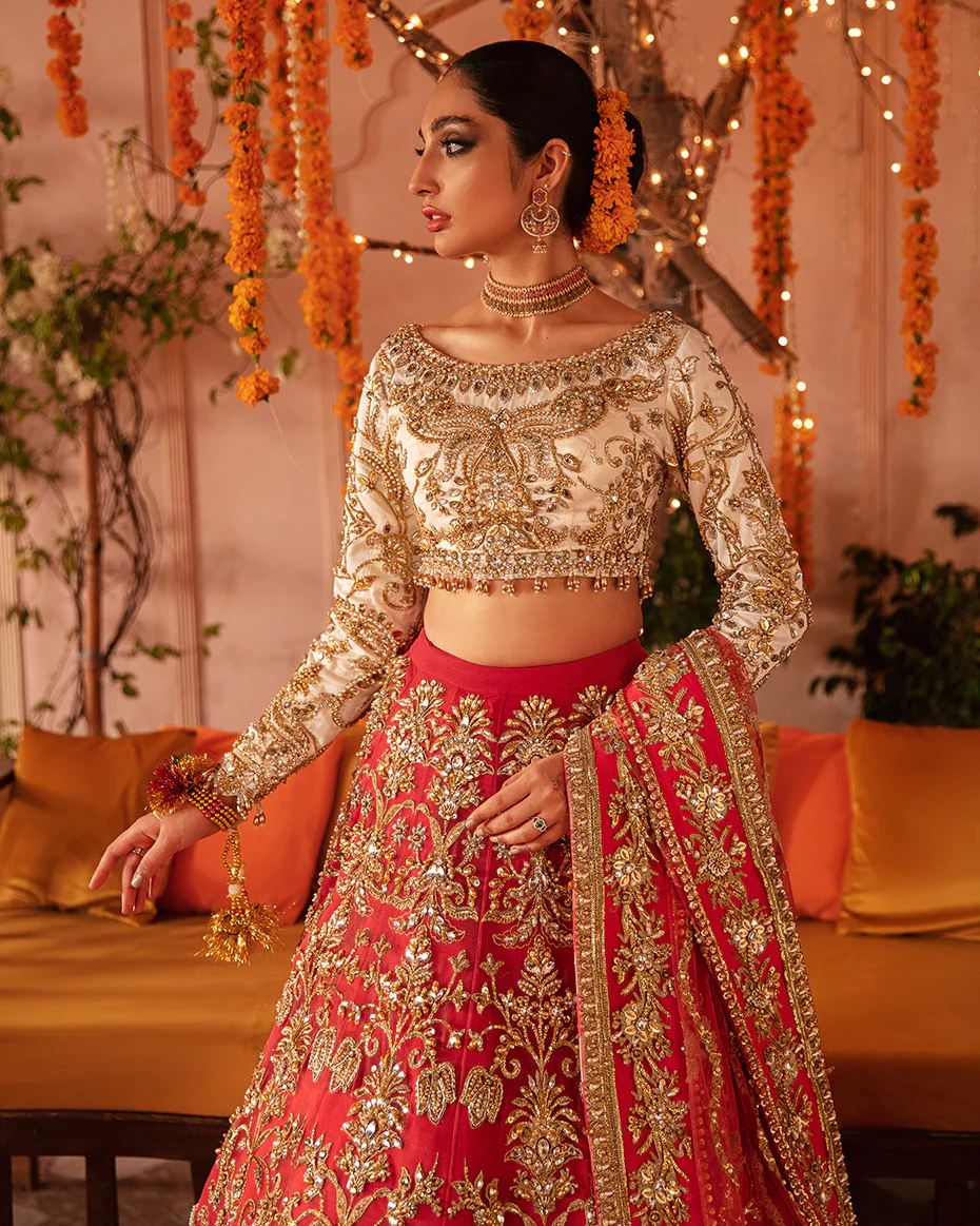 Aaima B-18 - Image 3